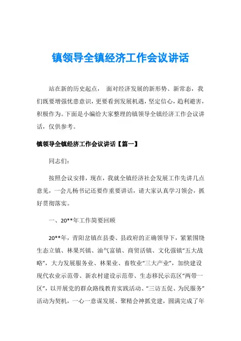 镇领导全镇经济工作会议讲话