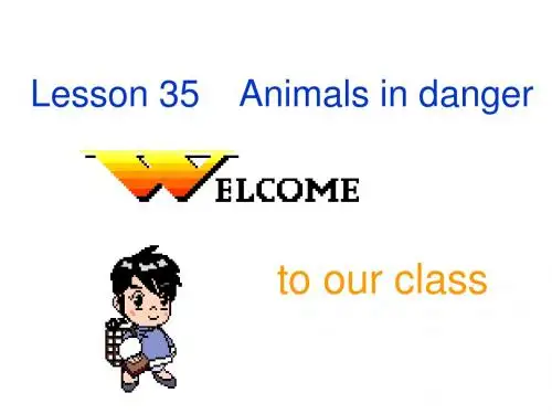 八年级英语Animals-in-danger课件