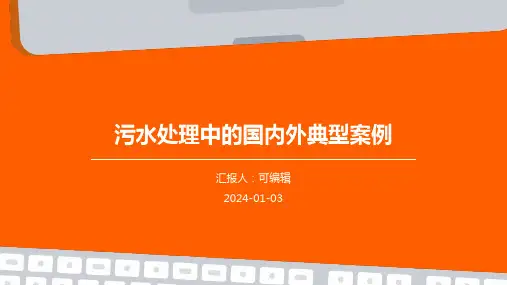 污水处理中的国内外典型案例