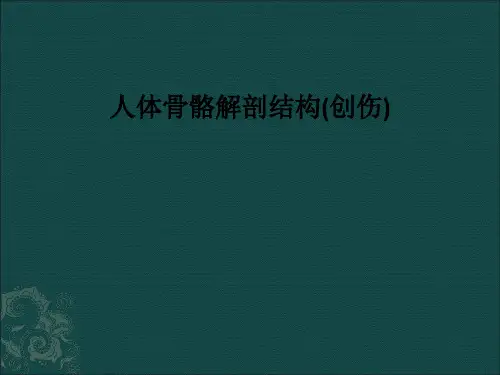 [医学]人体骨骼解剖结构(创伤)