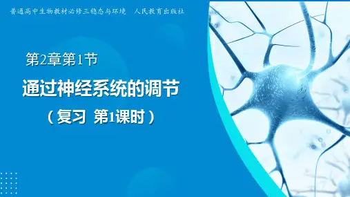 高三一轮复习生物课件：通过神经系统的调节