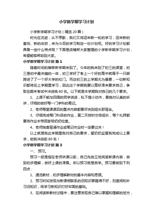 小学新学期学习计划