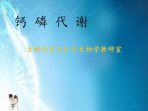 钙磷代谢精PPT课件