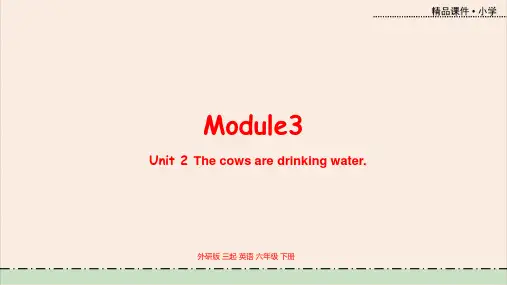 外研社三年级起点英语六年级下册教学课件 Module3 unit2