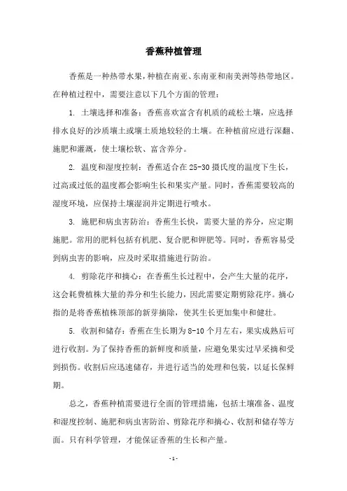 香蕉种植管理