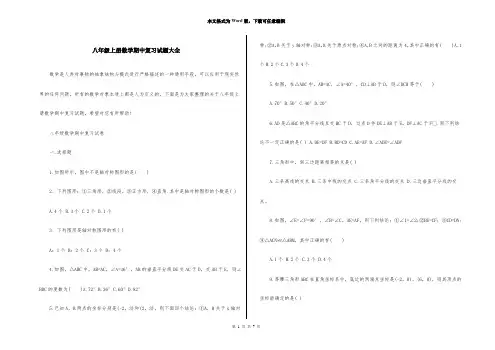 八年级上册数学期中复习试题大全