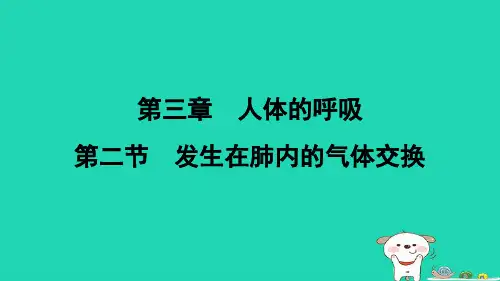 福建省七年级生物下册第四单元第三章人体的呼吸第二节发生在肺内的气体交换新版新人教版