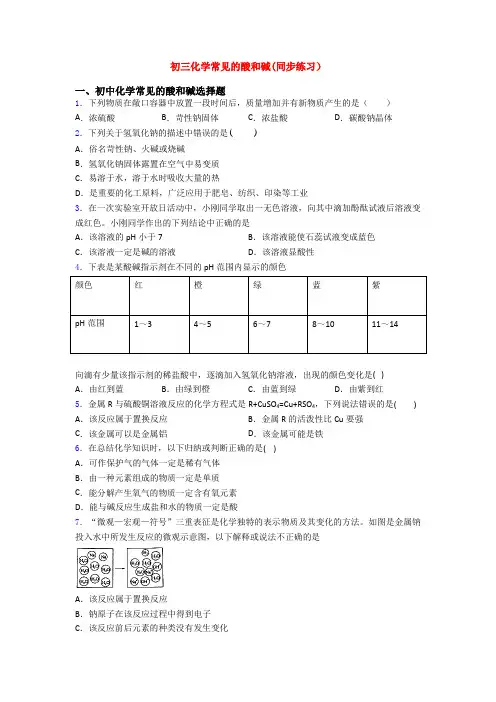 初三化学常见的酸和碱(同步练习)