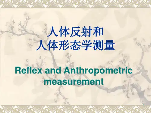 第二章人体反射和形态评定技术