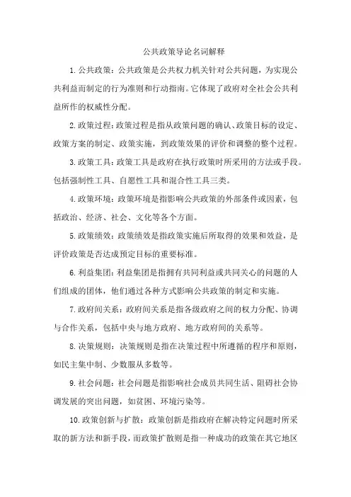 公共政策导论名词解释
