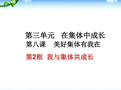 8.2我与集体共成长