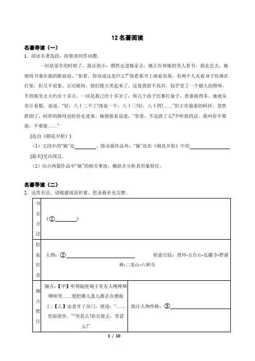 12名著阅读-中考语文专题复习(原卷版)