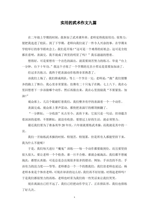 实用的武术作文九篇范文精选