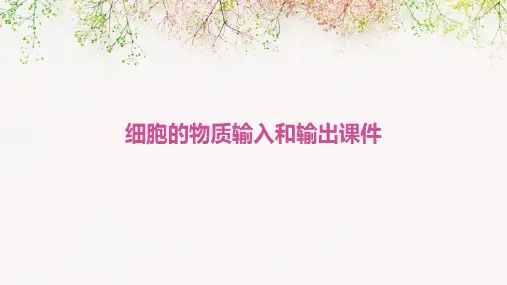 细胞的物质输入和输出课件