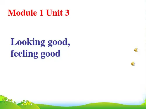 译林牛津版+高一英语必修一课件+Module1+Unit3+Looking+goodfeeling+