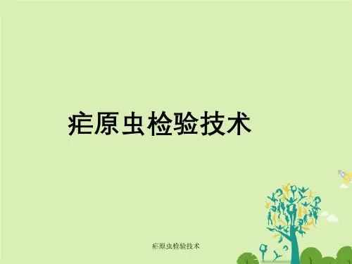 疟原虫检验技术