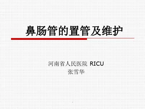 鼻肠管的护理完整版
