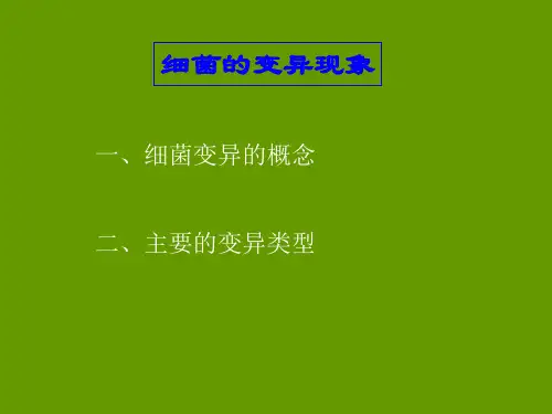 细菌的遗传与变异