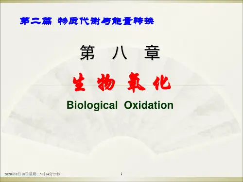 第八章生物氧化