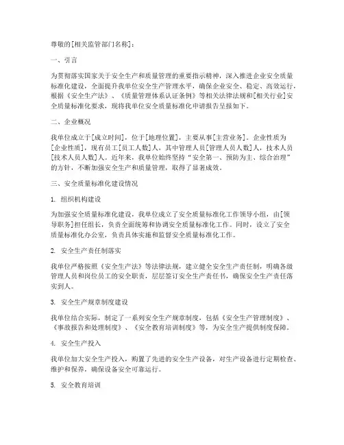 安全质量标准化申请报告