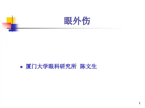 眼外伤8PPT课件