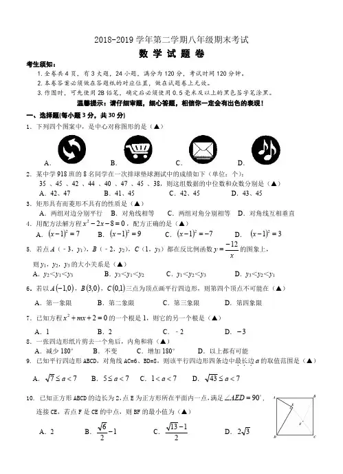 2018-2019学年八年级期末数学(试题卷)