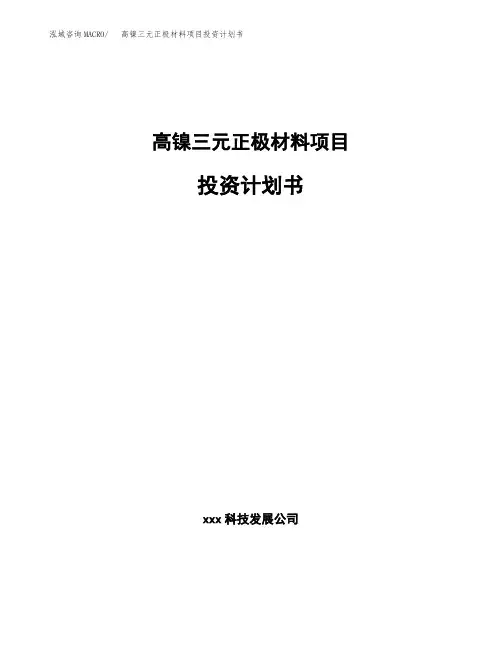 高镍三元正极材料项目投资计划书