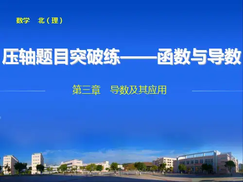 2015届高三数学北师大版(通用,理)总复习课件压轴题目突破练——函数与导数