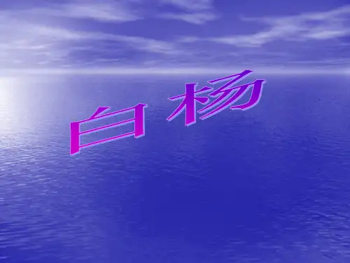 白杨ppt课件