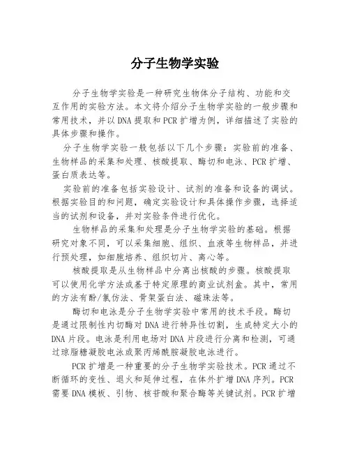 分子生物学实验