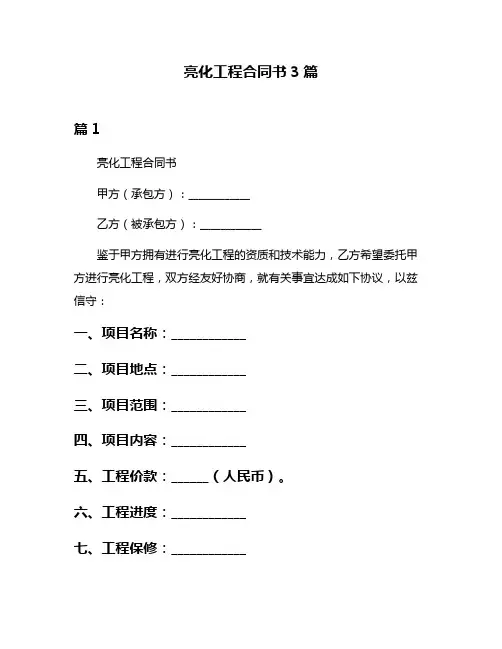 亮化工程合同书3篇
