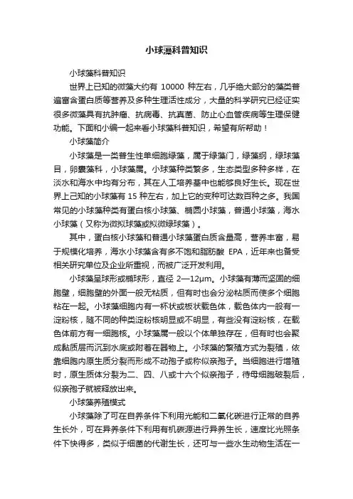 小球藻科普知识