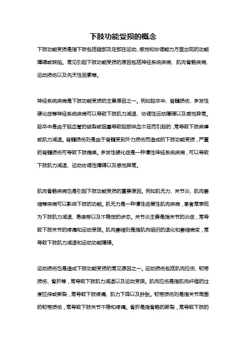 下肢功能受损的概念