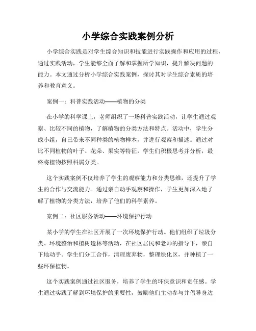 小学综合实践案例分析