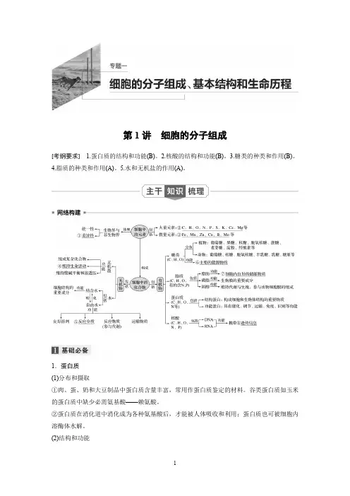 2020高考生物江苏专用提分大二轮复习讲义：专题一 细胞的分子组成、基本结构和生命历程 第1讲 