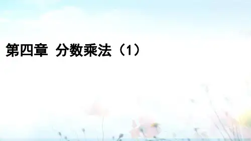 分数乘法小学五年级下学期数学同步教学课件冀教版