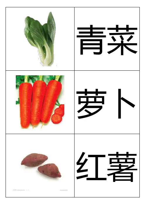 幼儿识字卡片配图：植物类