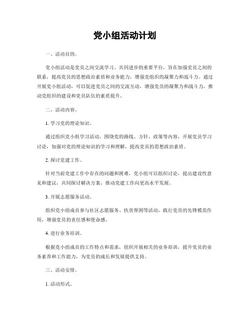 党小组活动计划
