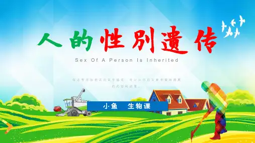 初中生物八年级《人的性别遗传》教育教学课件