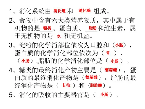 人教版生物七年级下册：4.4 人体内物质的运输复习 课件 (共24张PPT)