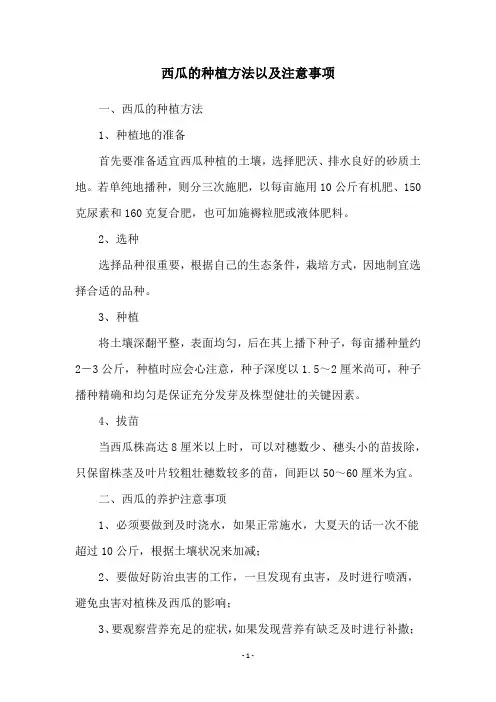 西瓜的种植方法以及注意事项