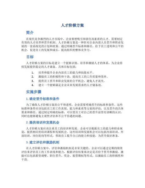 人才阶梯方案