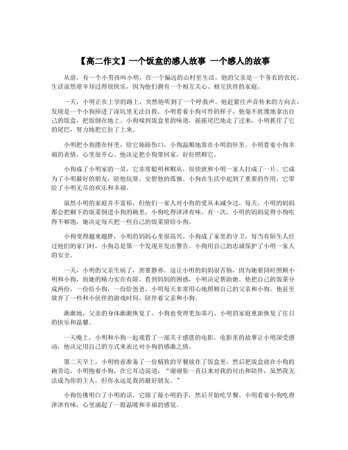 【高二作文】一个饭盒的感人故事 一个感人的故事