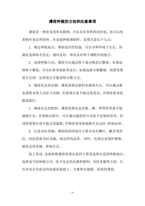 薄荷种植的方法和注意事项