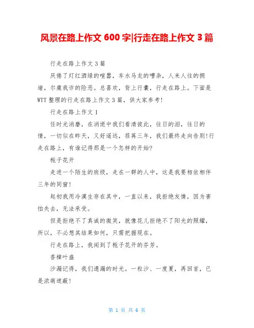 风景在路上作文600字-行走在路上作文3篇