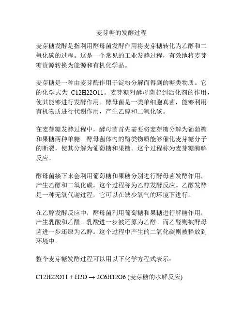 麦芽糖的发酵过程