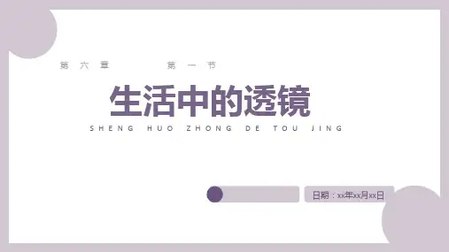 6.3生活中的透镜-八年级物理下册(北师大版)