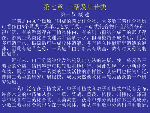 三萜讲义