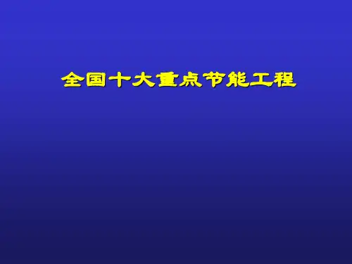 十大重点节能工程.ppt