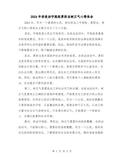 2024年讲政治守规矩勇担当树正气心得体会(2篇)